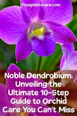  Easy Orchids: A Visual Guide to Growing and Caring for Orchid Plants - Unveiling the Enchanting World of Orchids